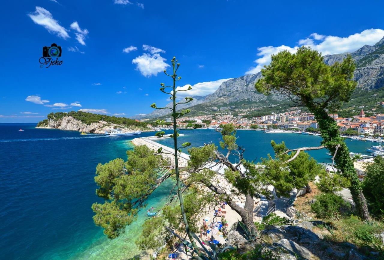 Apartment Maslina Makarska Eksteriør billede